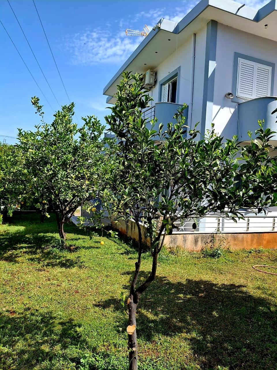 Myksamil Apartments Exterior foto